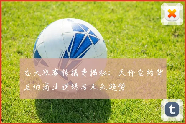 各大联赛转播费揭秘:天价合约背后的商业逻辑与未来趋势