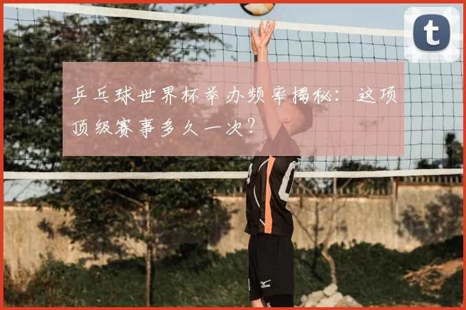 乒乓球世界杯举办频率揭秘：这项顶级赛事多久一次？